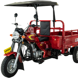 GARD EcoClean Compact (LX200ZH-AI Short-Bed Cargo Tricycle)