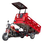 EcoDump Pro (LX250ZH-13 Hydraulic Dump Cargo Tricycle)