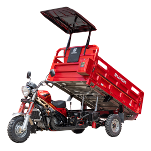 EcoDump Pro (LX250ZH-13 Hydraulic Dump Cargo Tricycle)