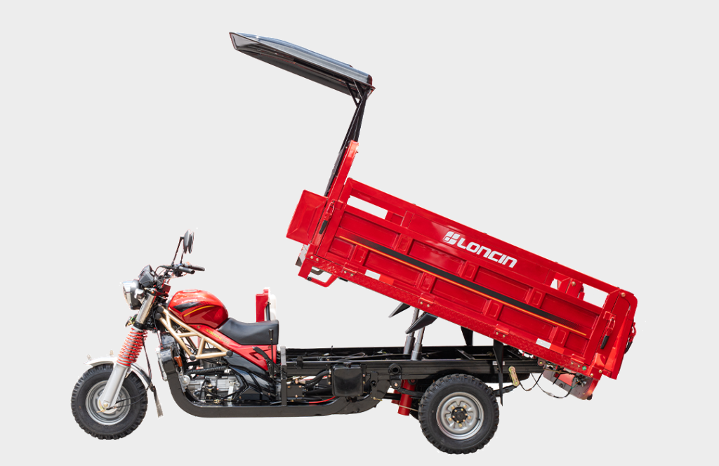 EcoDump Pro (LX250ZH-13 Hydraulic Dump Cargo Tricycle)