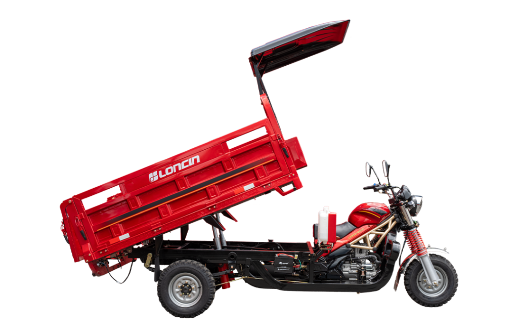 EcoDump Pro (LX250ZH-13 Hydraulic Dump Cargo Tricycle)